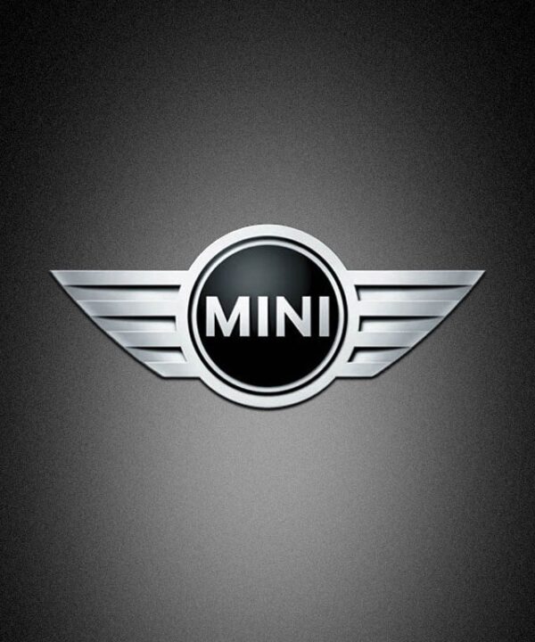 mini logo